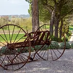 Borgo Vera 曼恰诺